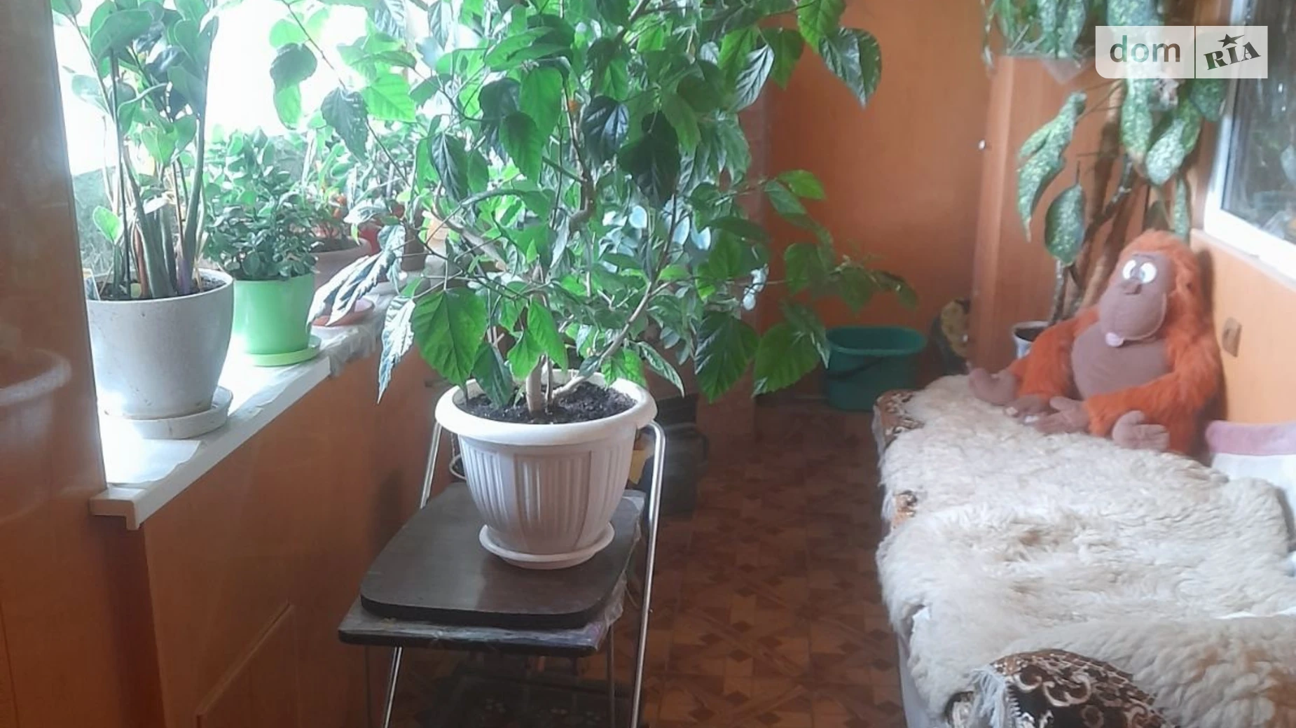 Продается одноэтажный дом 787 кв. м с подвалом, цена: 20000 $ - фото 3