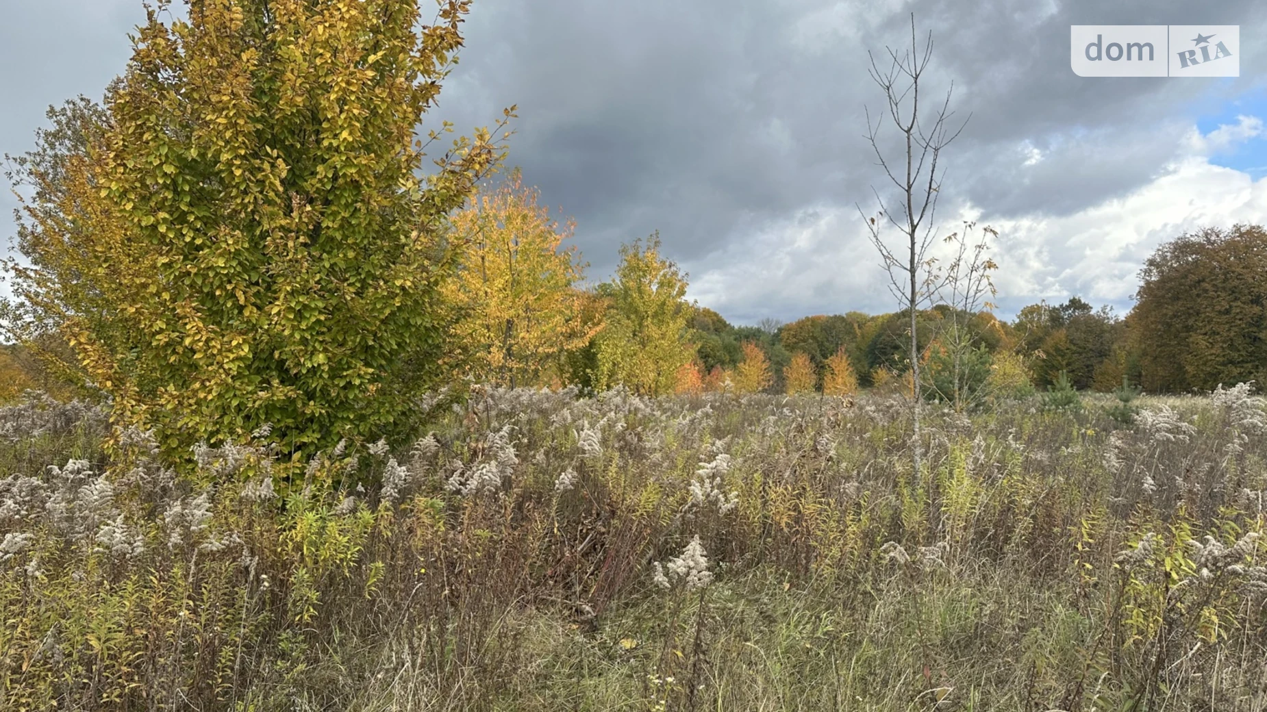 Продается земельный участок 10 соток в Винницкой области, цена: 14000 $ - фото 5