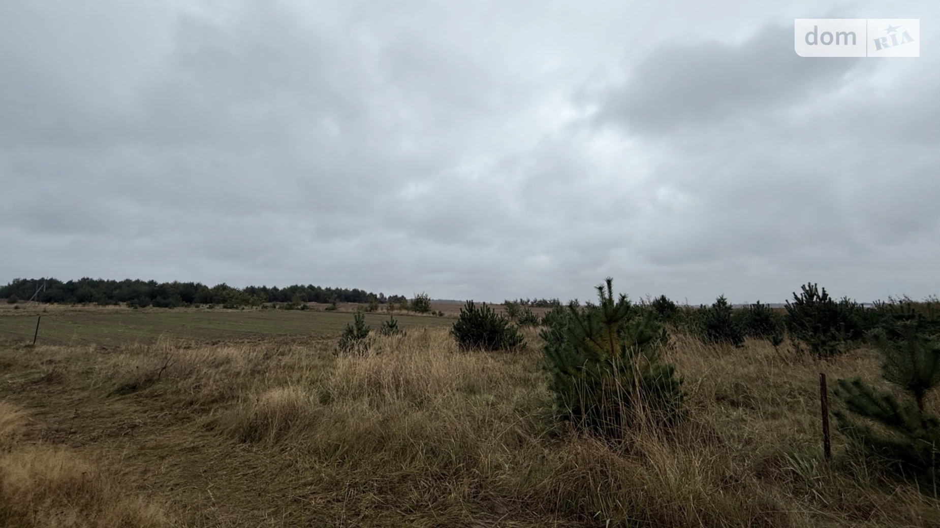 Продается земельный участок 13.28 соток в Волынской области, цена: 14000 $ - фото 3