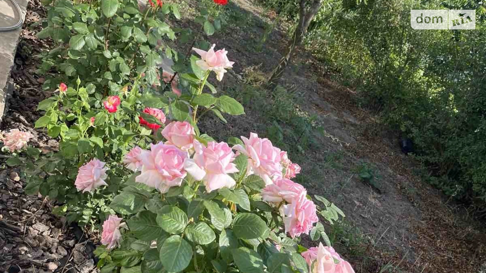 Продается одноэтажный дом 52 кв. м с гаражом, цена: 25000 $ - фото 5