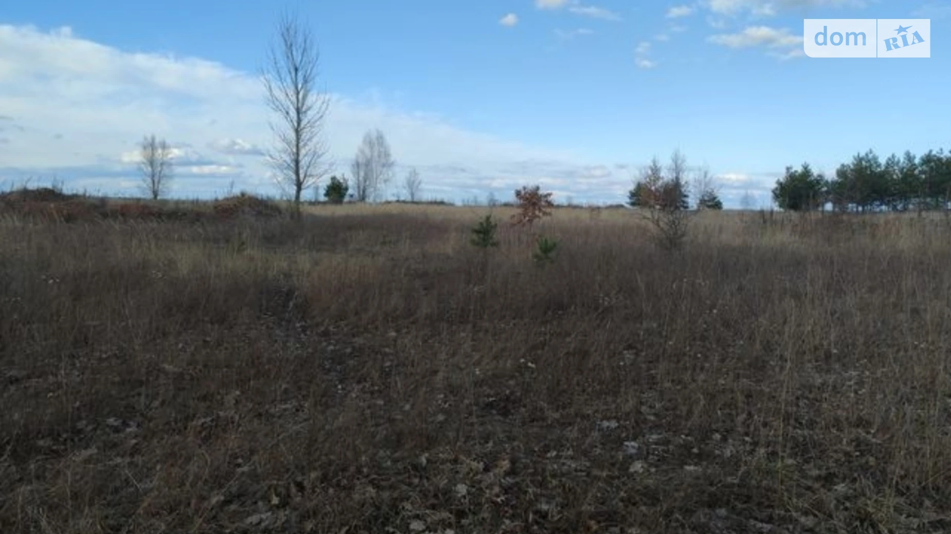 Продается земельный участок 10 соток в Киевской области, цена: 7000 $ - фото 2