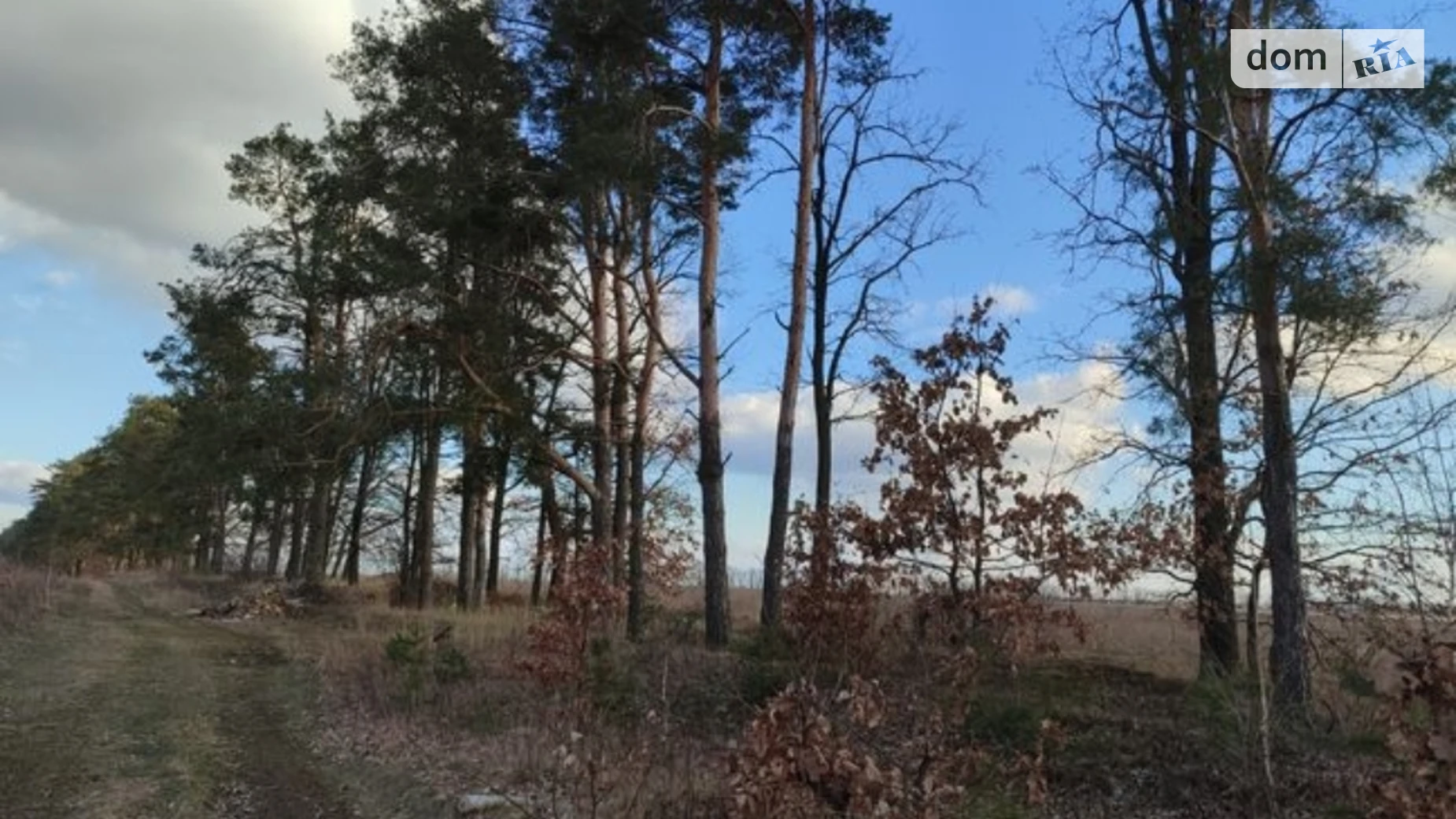 Продается земельный участок 10 соток в Киевской области, цена: 7000 $ - фото 4