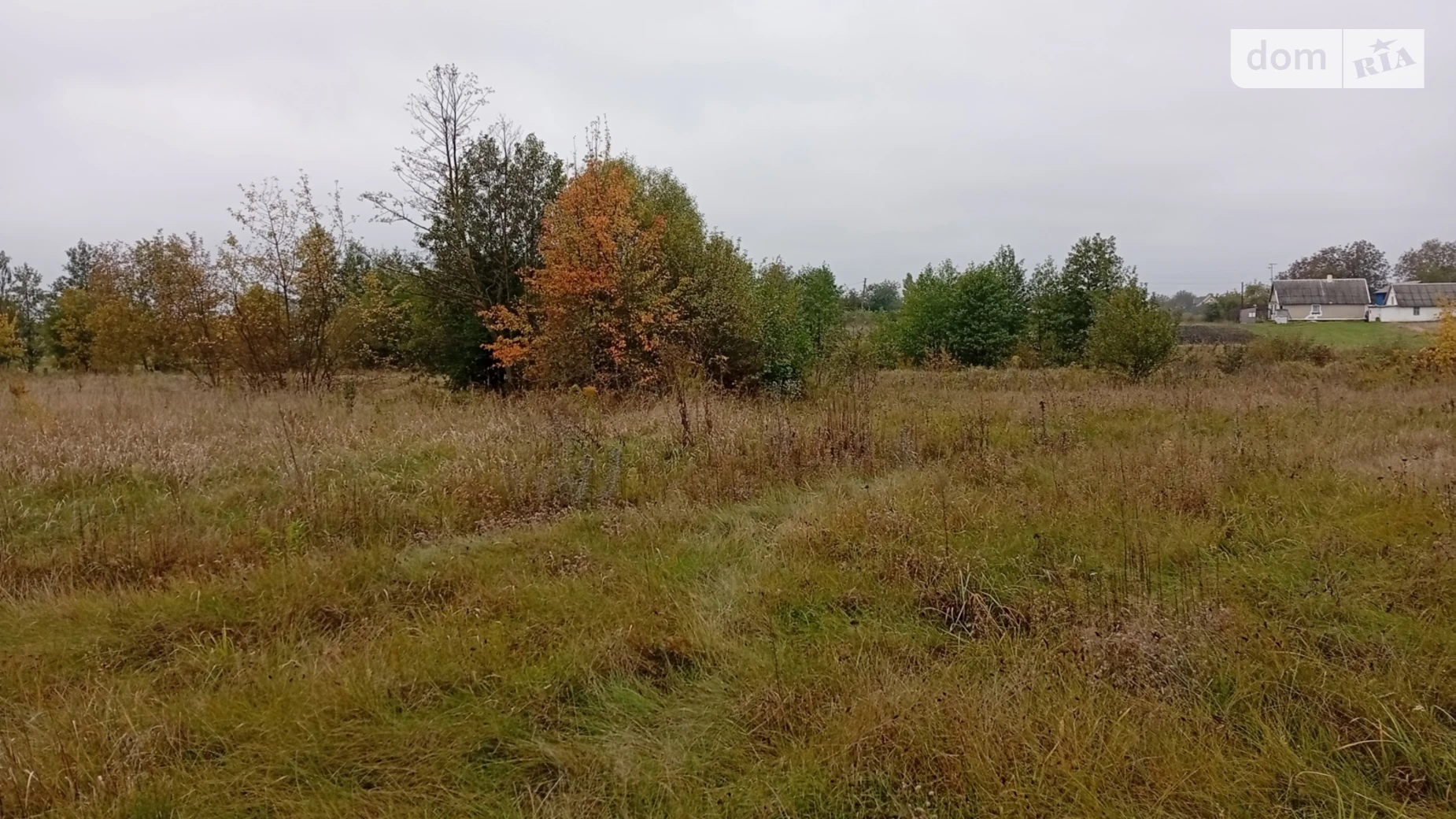 Продается земельный участок 10 соток в Житомирской области, цена: 8000 $ - фото 2