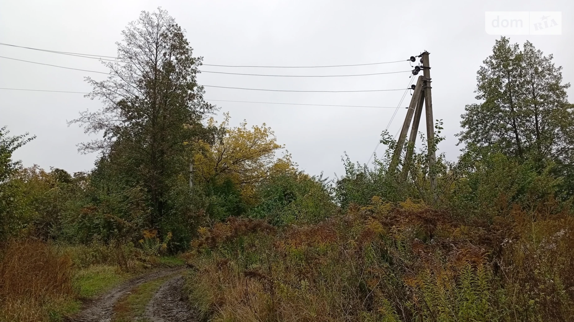 Продается земельный участок 10 соток в Житомирской области, цена: 8000 $ - фото 3