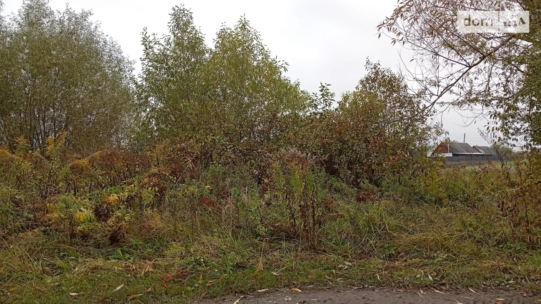 Продается земельный участок 10 соток в Житомирской области, цена: 8000 $ - фото 4