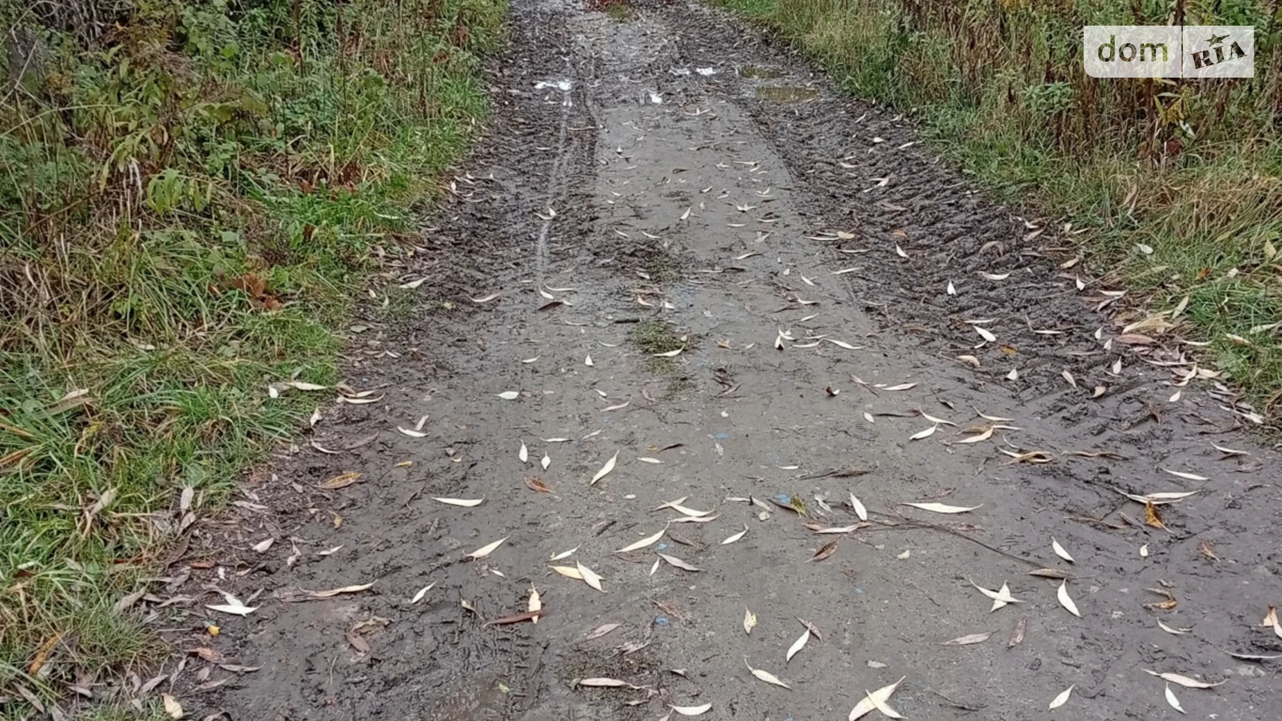 Продается земельный участок 10 соток в Житомирской области, цена: 8000 $ - фото 5