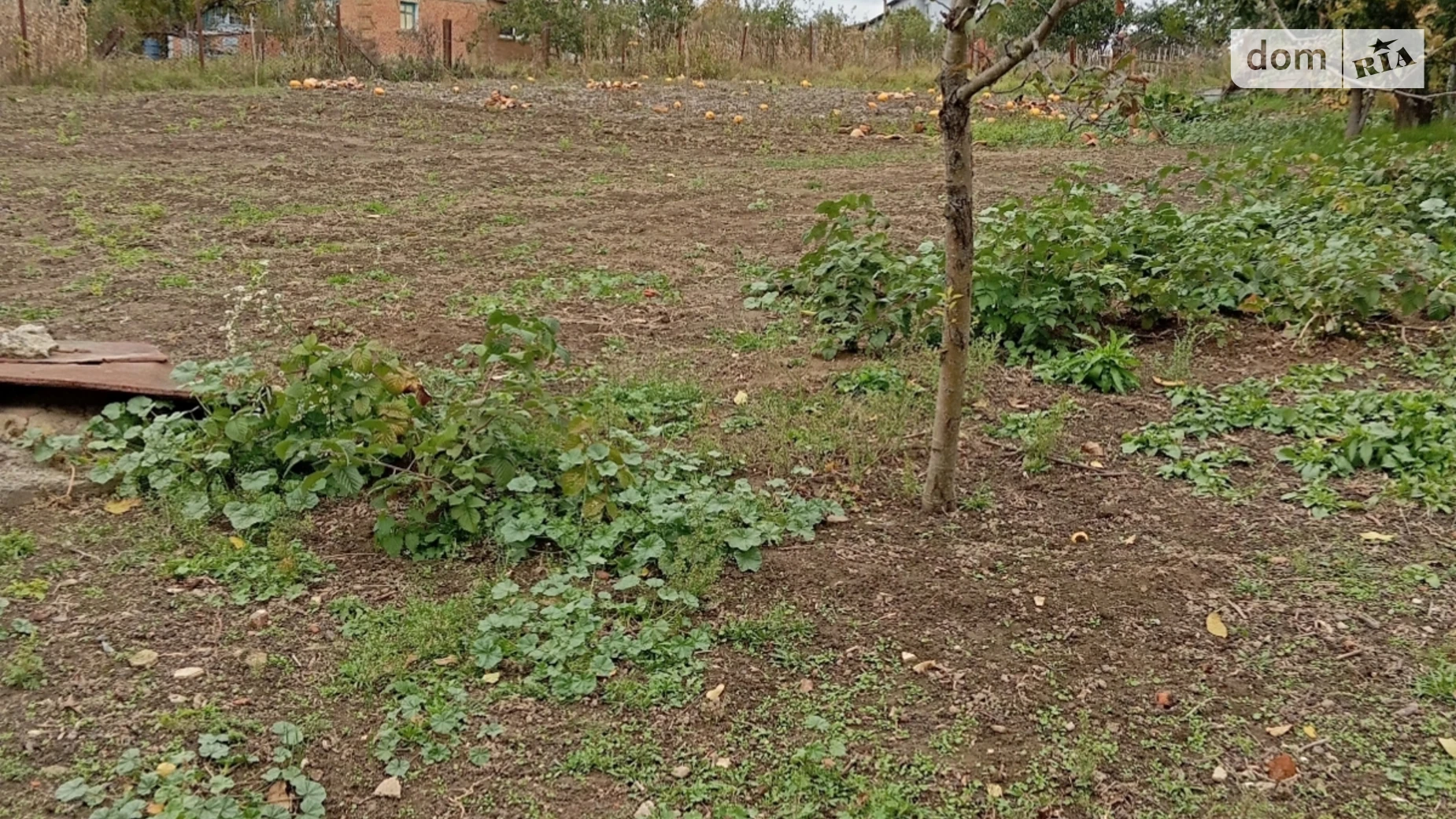 Продается одноэтажный дом 60.5 кв. м с балконом, смт.Тиврів, 10 - фото 2