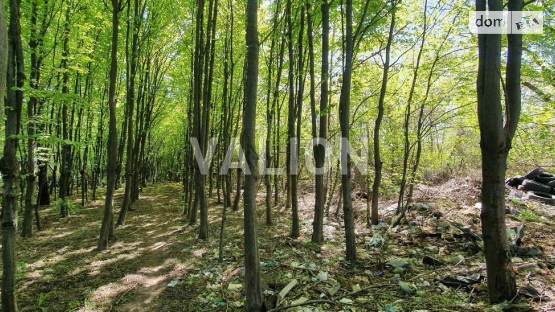 Продается земельный участок 30 соток в Киевской области, цена: 400000 $ - фото 2