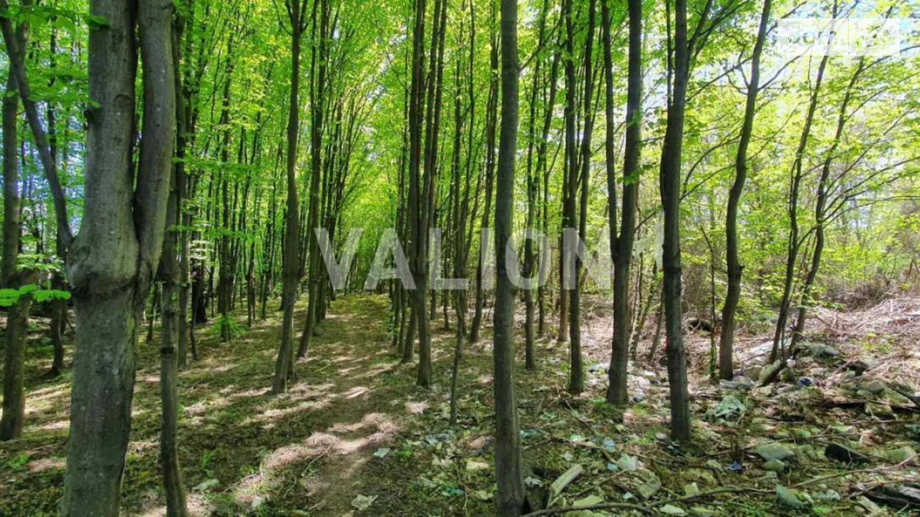 Продается земельный участок 30 соток в Киевской области, цена: 400000 $ - фото 4