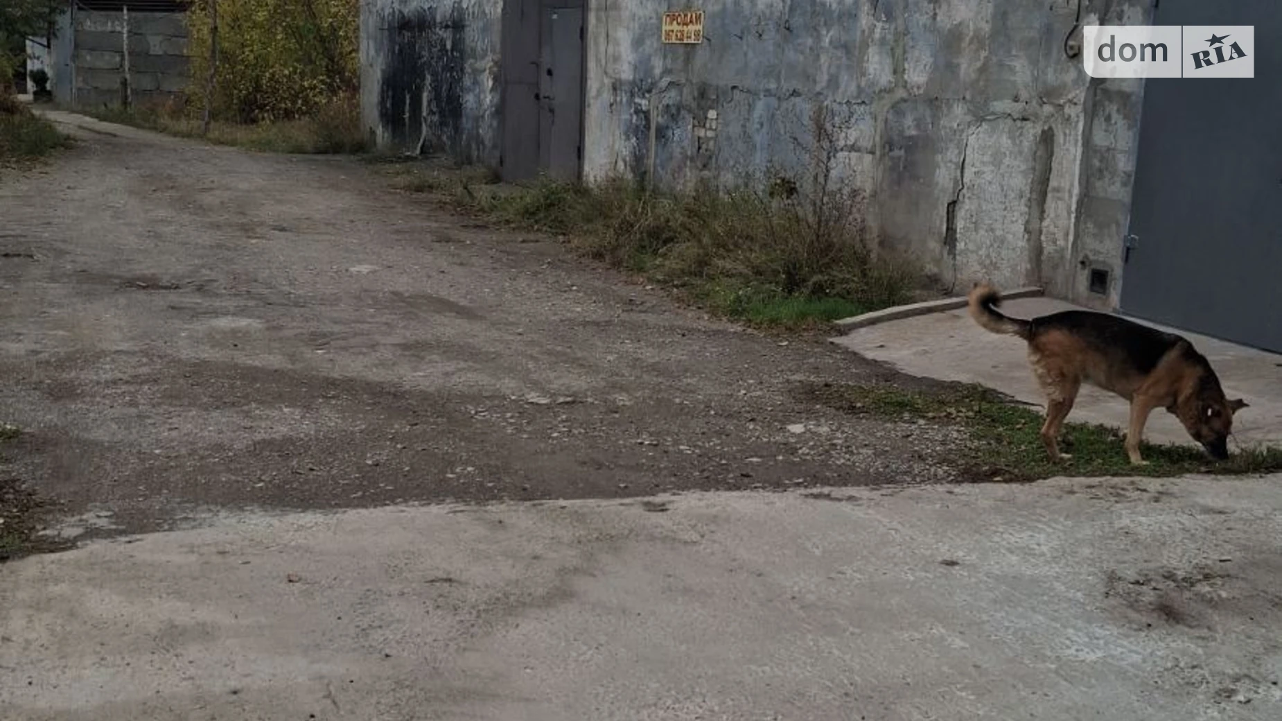 Продается место в гаражном кооперативе под бус на 106 кв. м, цена: 20000 $ - фото 2