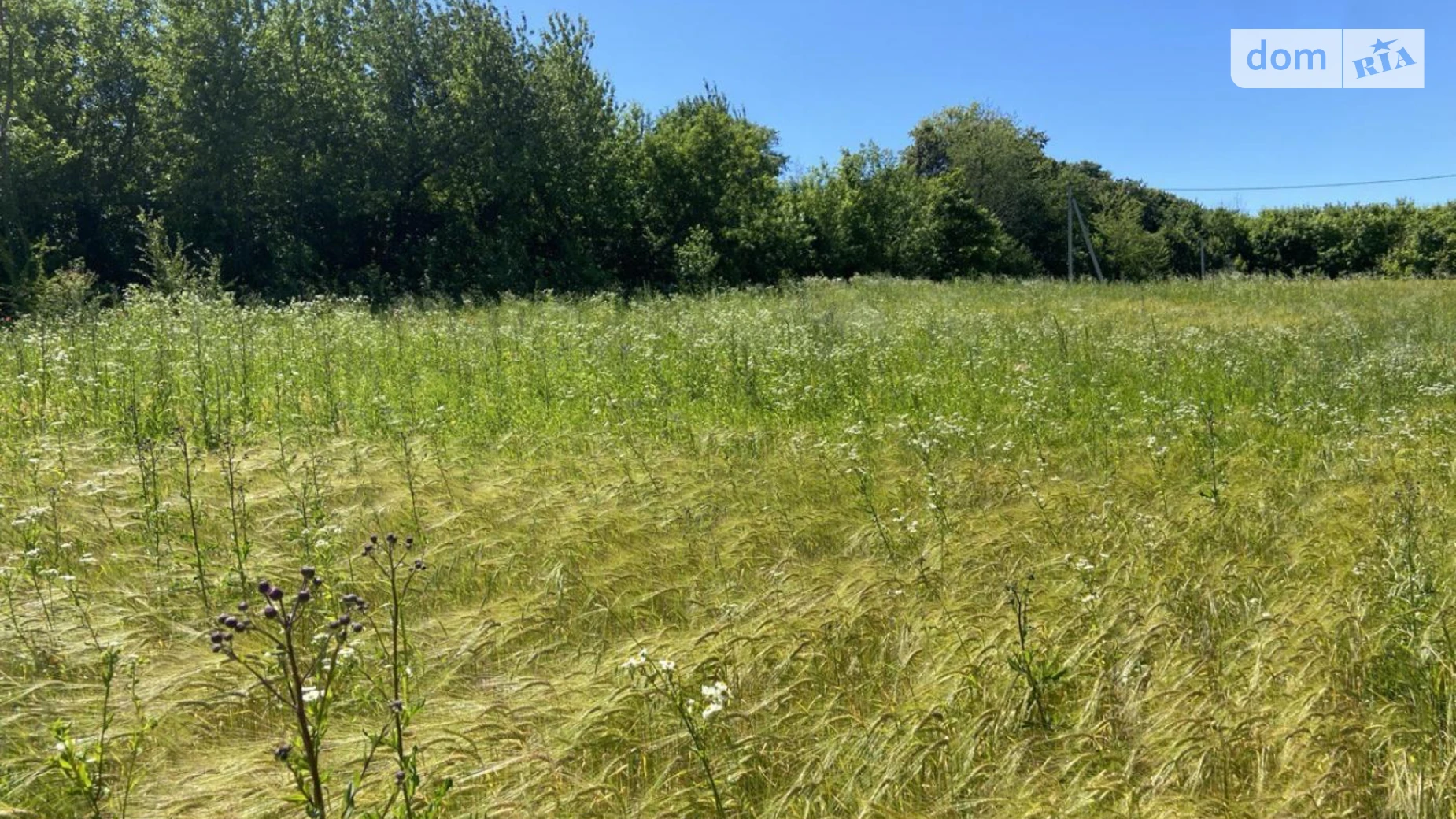 Продається земельна ділянка 90 соток у Хмельницькій області, цена: 160000 $ - фото 4