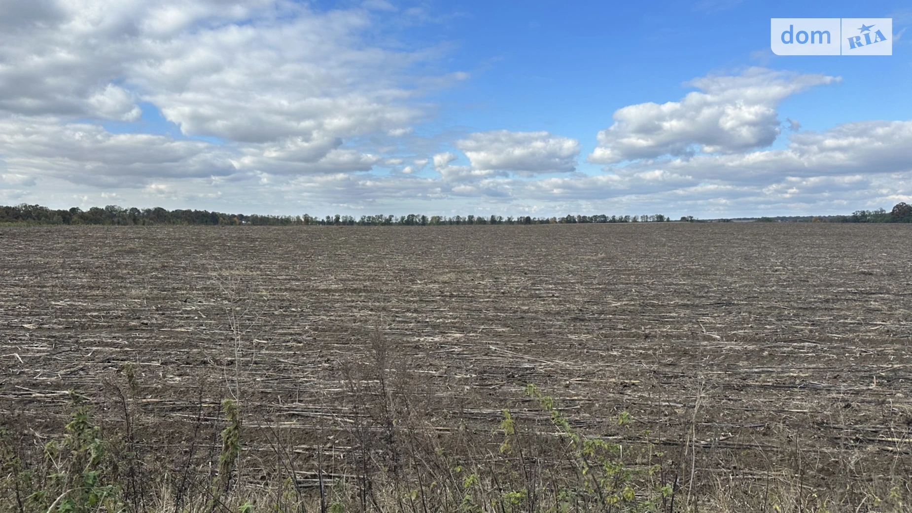 ул. Садовая Якушинцы, цена: 390000 $ - фото 5