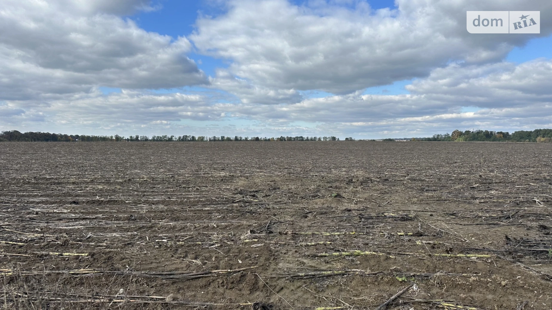 ул. Садовая Якушинцы, цена: 330000 $ - фото 4