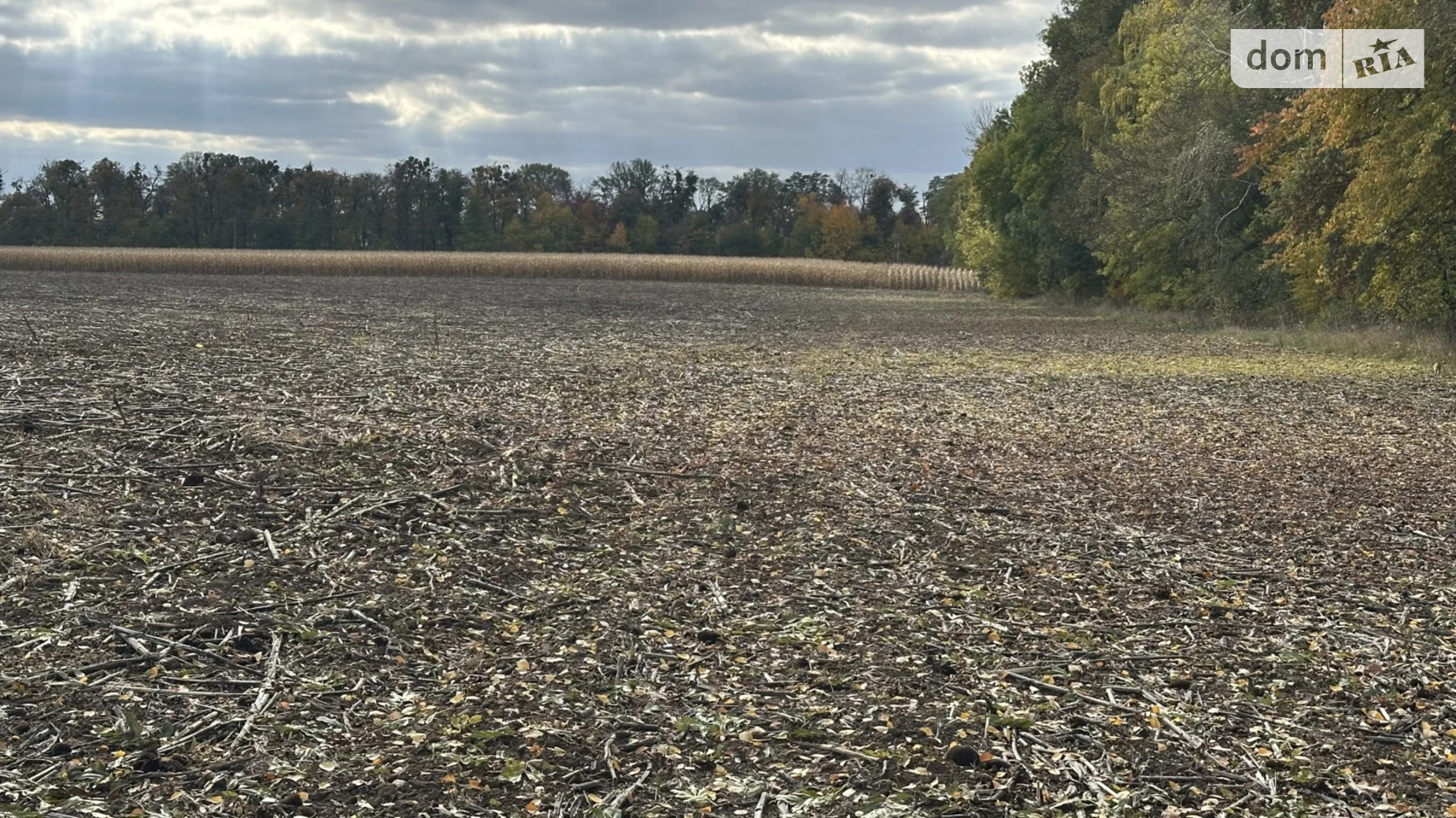 Продається земельна ділянка 96.11 соток у Вінницькій області, цена: 105000 $ - фото 3