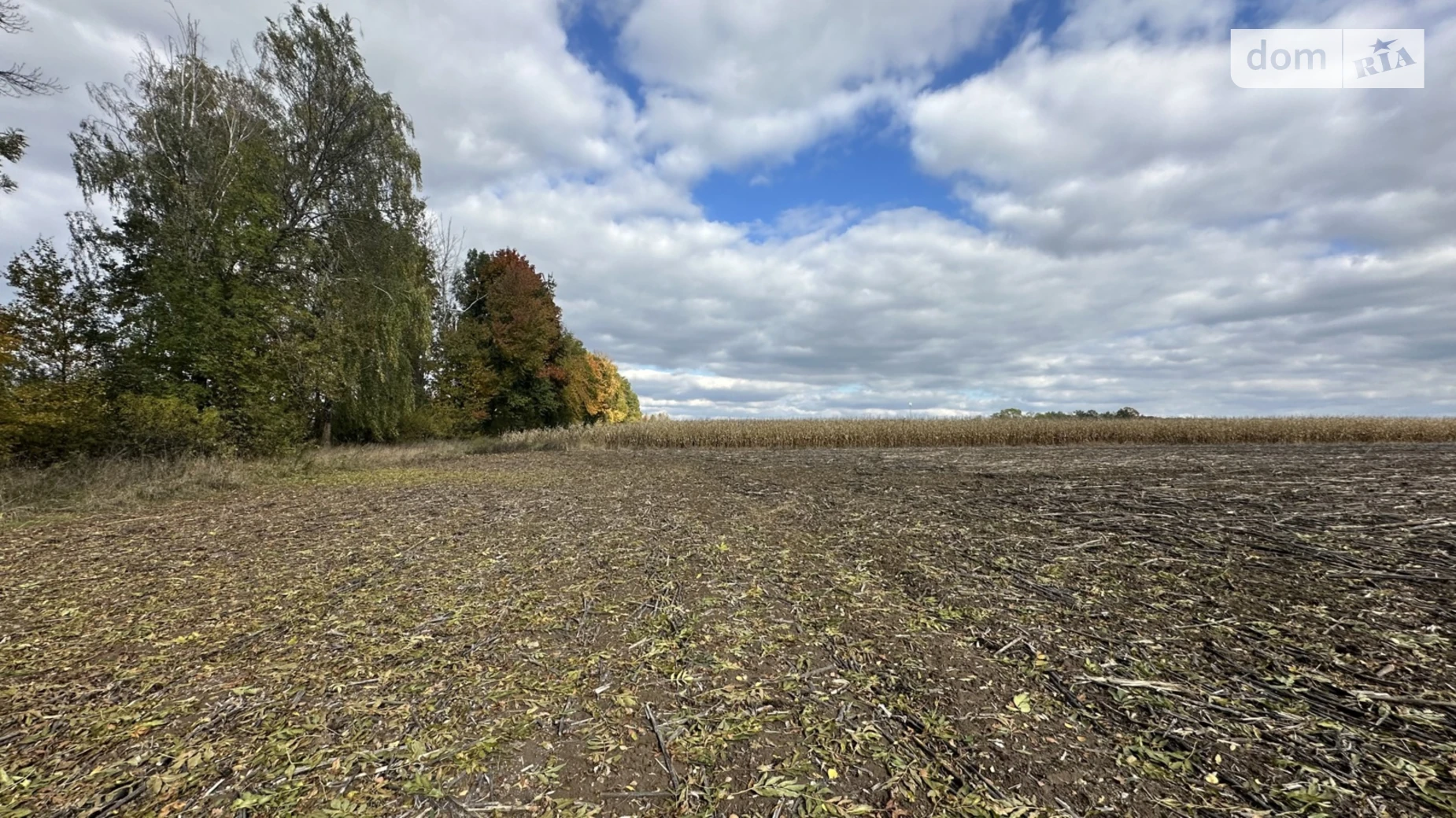 Продається земельна ділянка 96.11 соток у Вінницькій області, цена: 105000 $ - фото 2