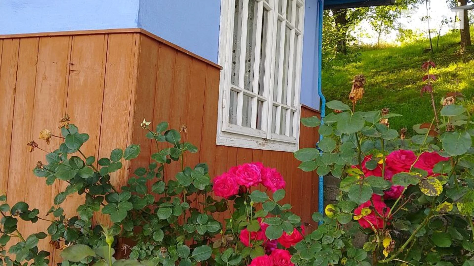 Продается одноэтажный дом 69.6 кв. м с беседкой, цена: 35000 $ - фото 3