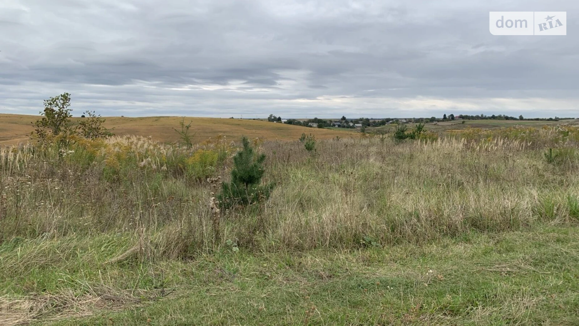 Продается земельный участок 10.48 соток в Ровенской области, цена: 9000 $ - фото 2