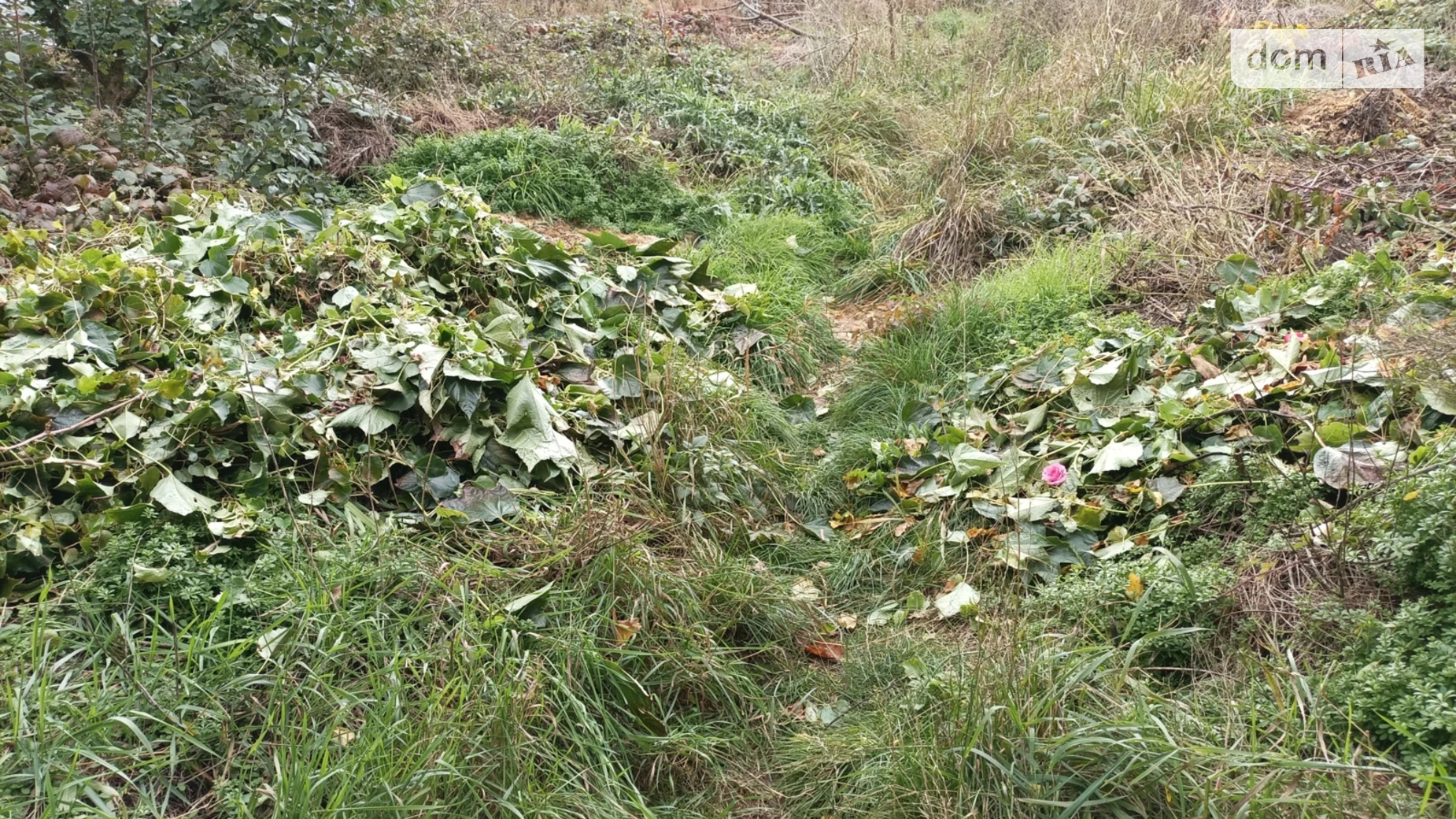 Продается земельный участок 12 соток в Винницкой области, цена: 195000 $ - фото 3