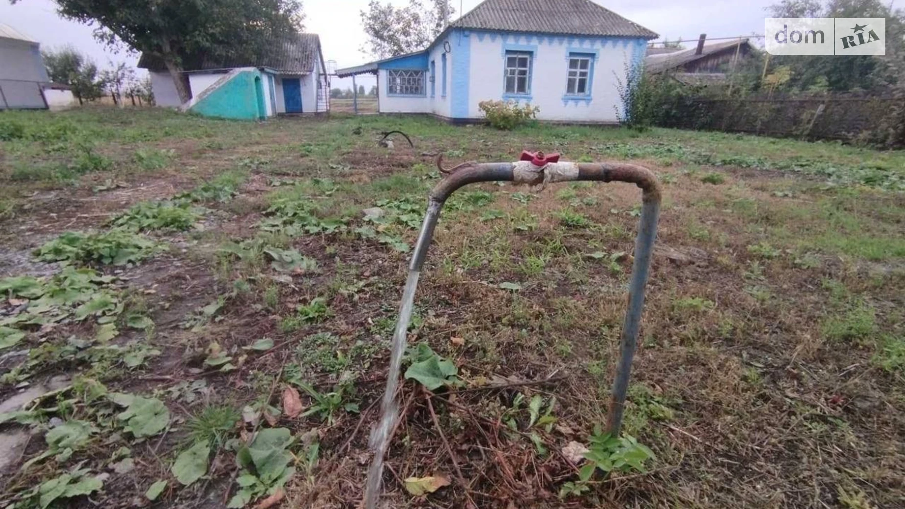 Продается одноэтажный дом 65 кв. м с подвалом, цена: 12300 $ - фото 5