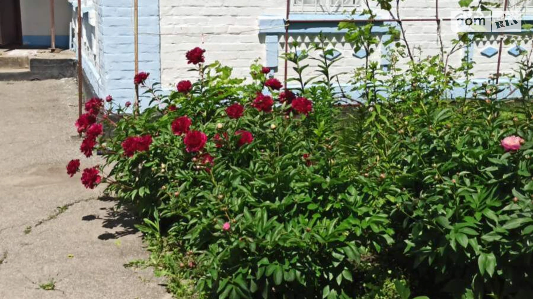 Продається одноповерховий будинок 68.1 кв. м з садом, цена: 13000 $ - фото 3