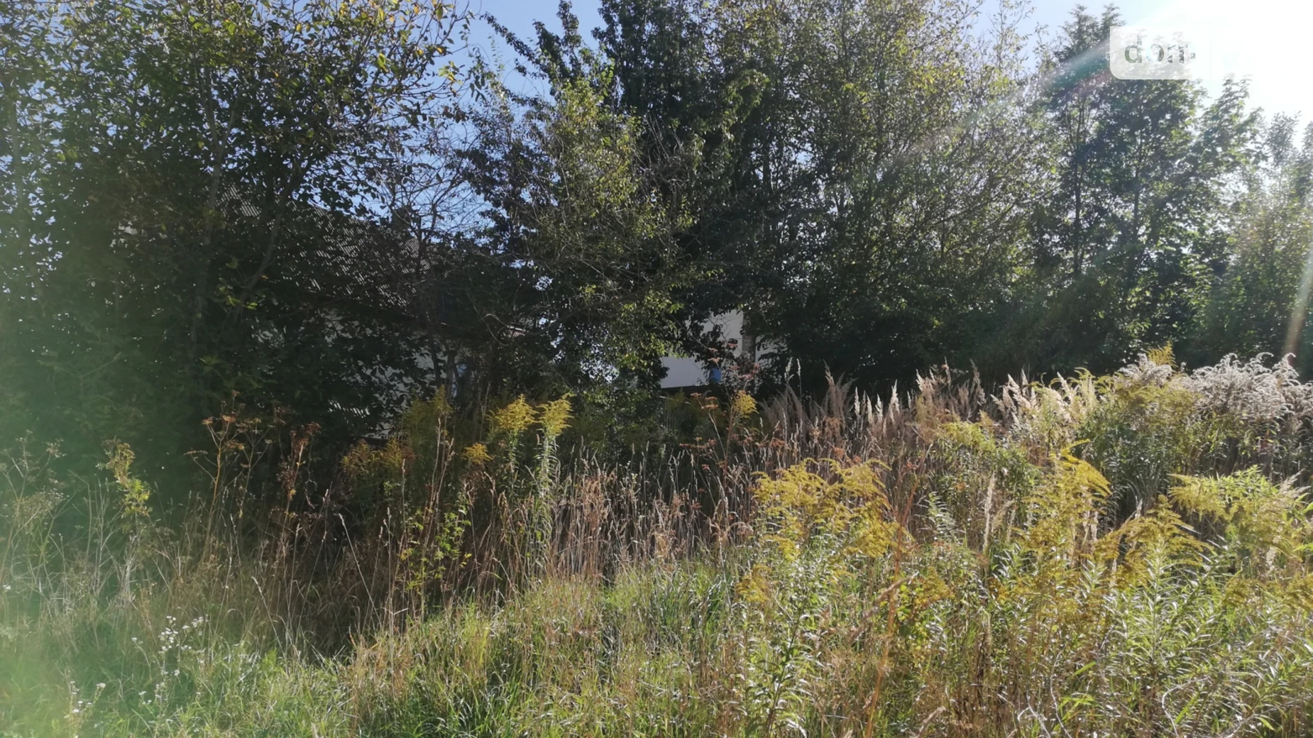 Продається земельна ділянка 6 соток у Тернопільській області, цена: 6000 $ - фото 2