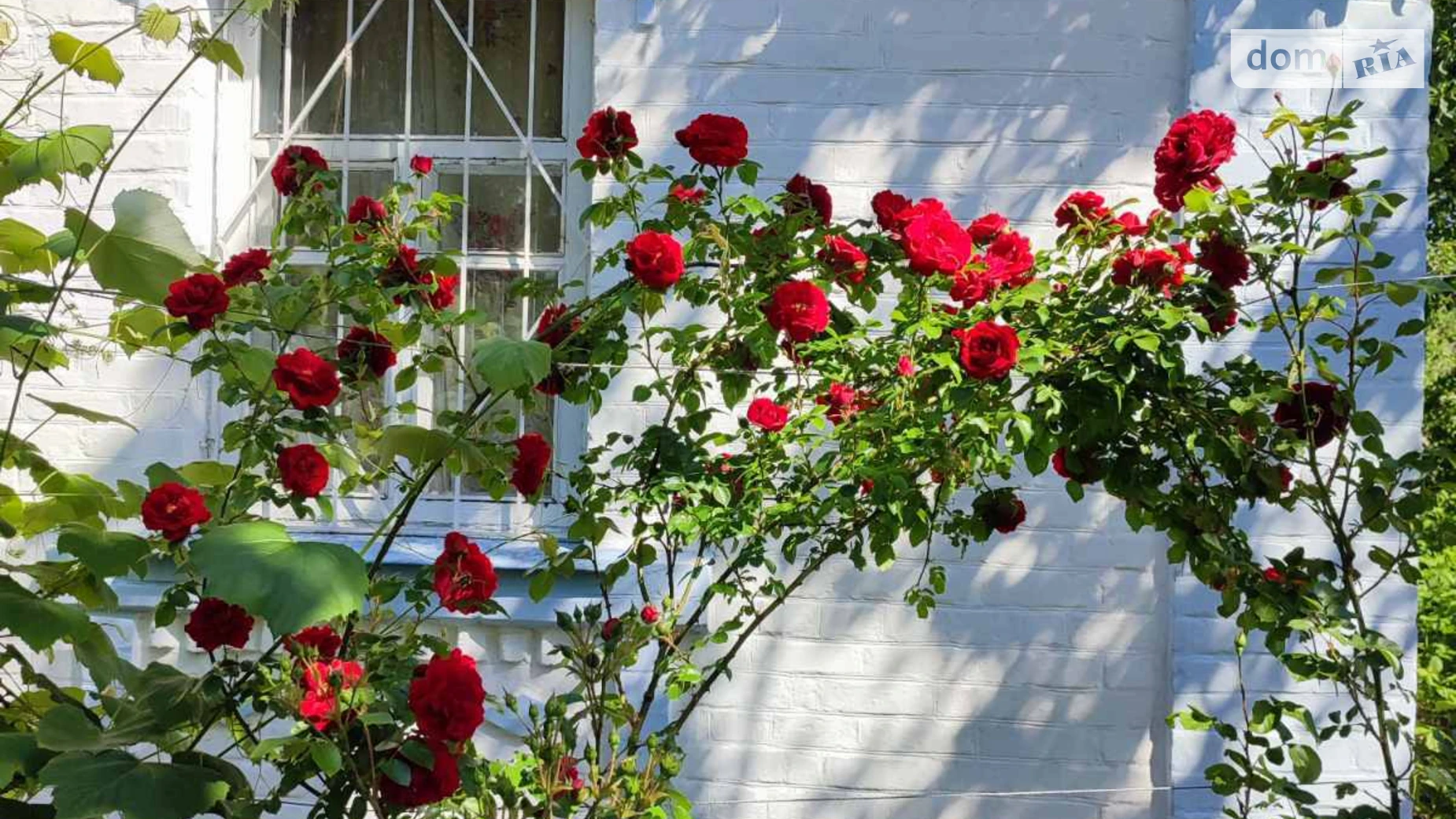 Продається одноповерховий будинок 68.1 кв. м з садом, цена: 13000 $ - фото 5