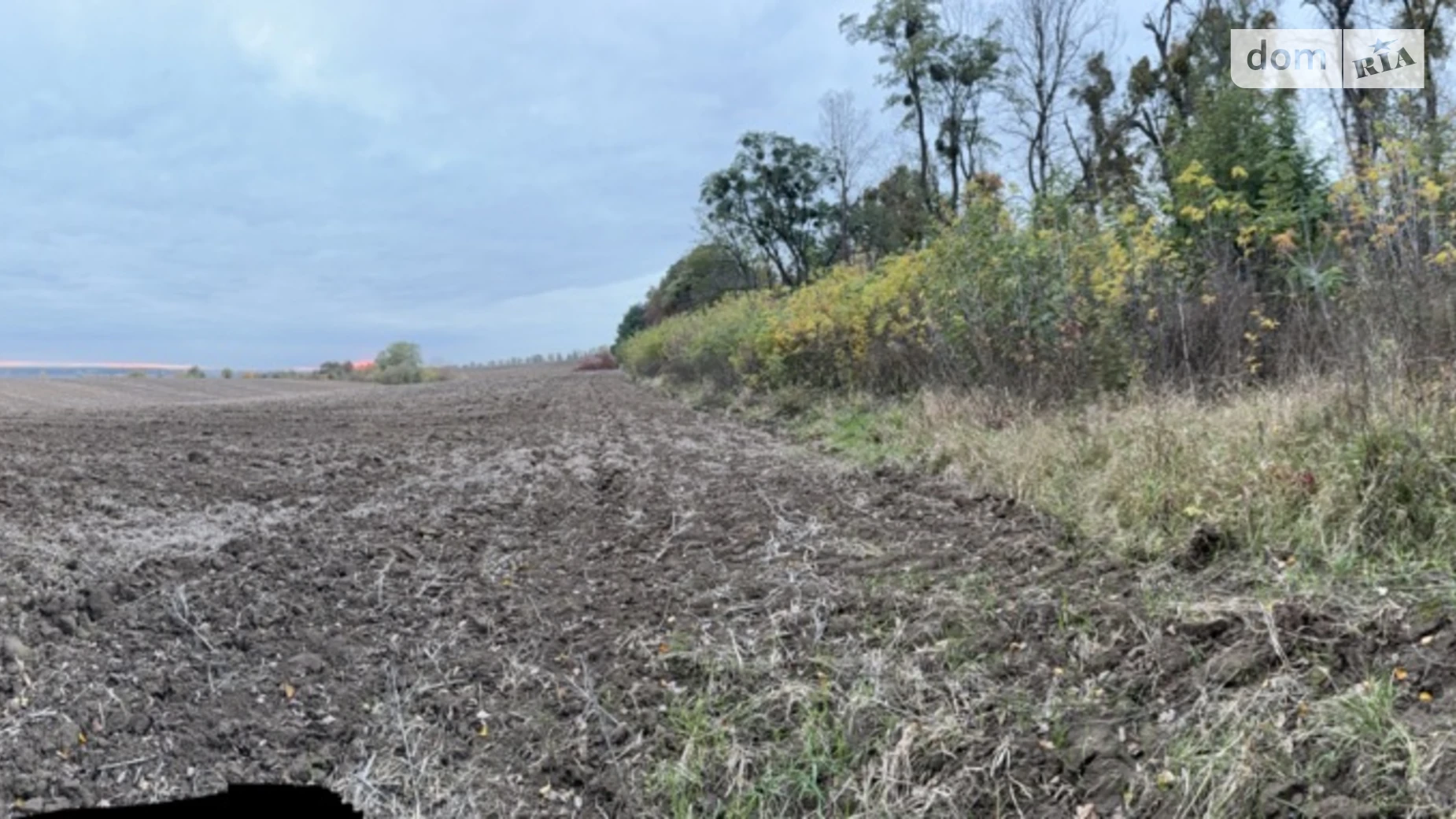 Хмельницкое шоссе Якушинцы, цена: 1050000 $ - фото 3