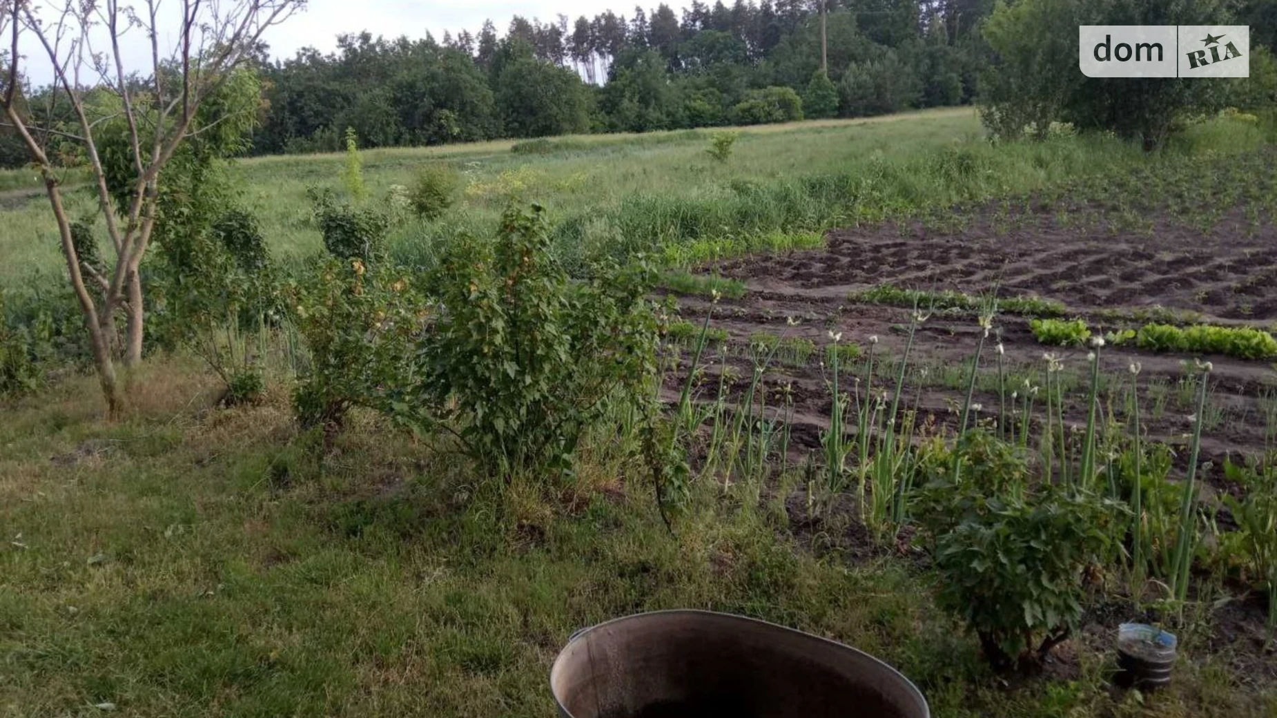 Продается одноэтажный дом 53 кв. м с террасой, цена: 9500 $ - фото 3