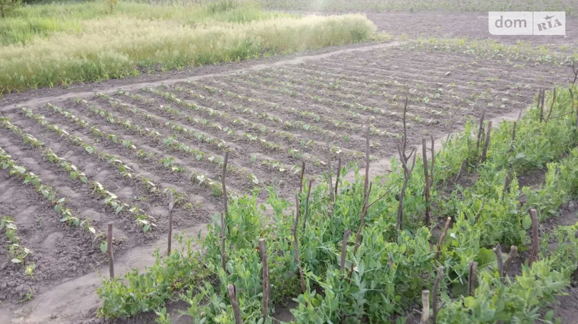 Продается одноэтажный дом 53 кв. м с террасой, цена: 9500 $ - фото 4