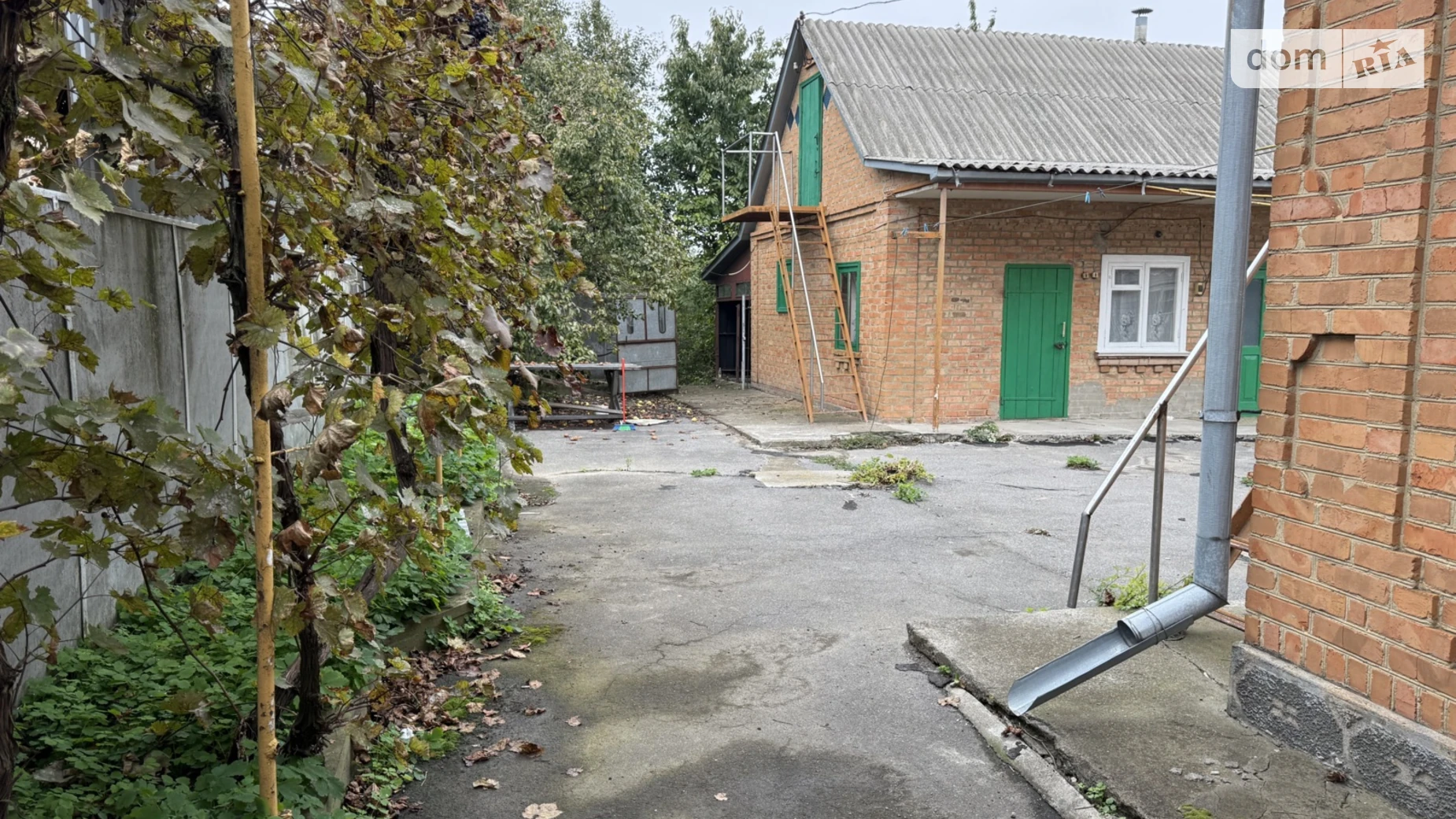Продается одноэтажный дом 73 кв. м с подвалом, цена: 70000 $ - фото 3