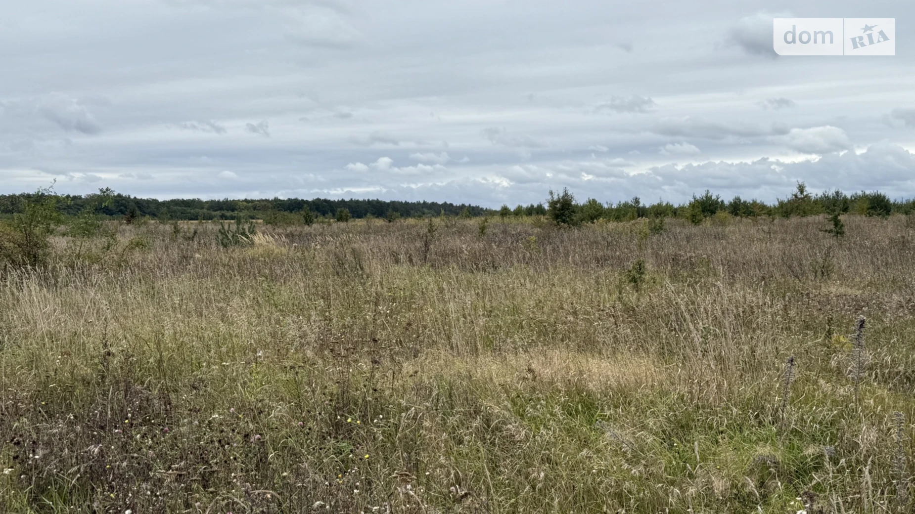 Продается земельный участок 8 соток в Винницкой области, цена: 5000 $ - фото 3