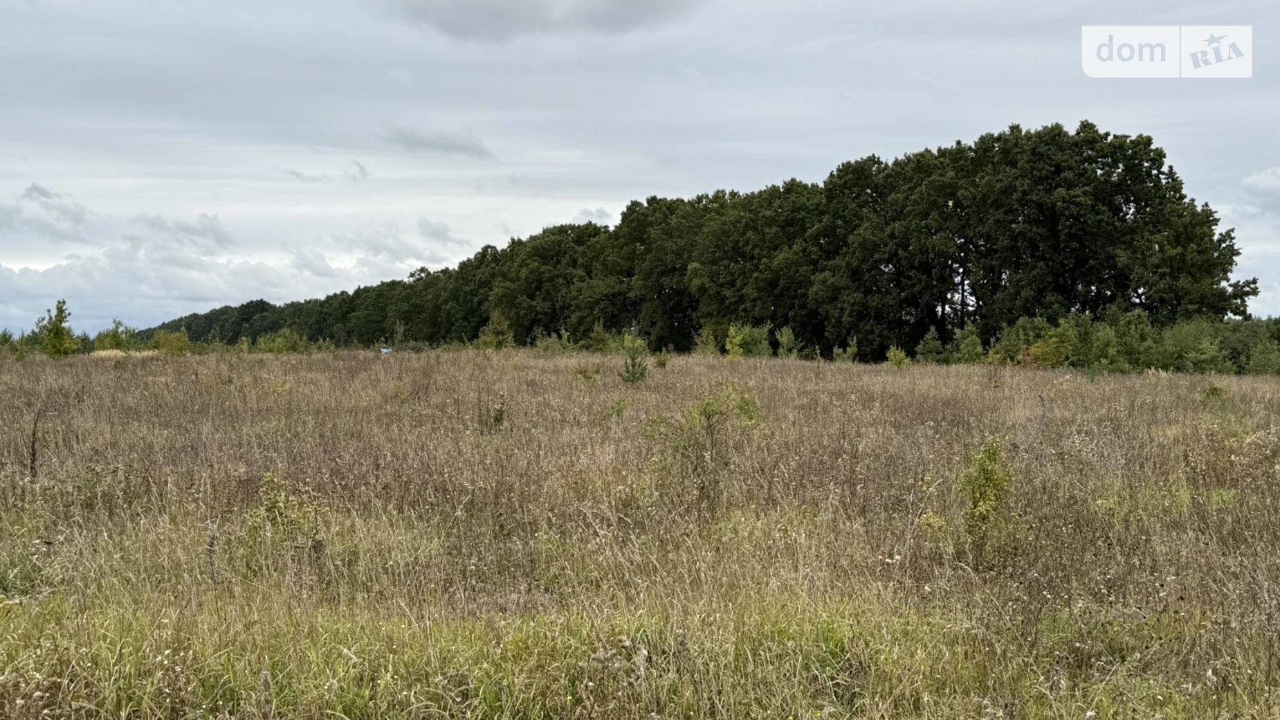 Продается земельный участок 8 соток в Винницкой области, цена: 5000 $ - фото 2