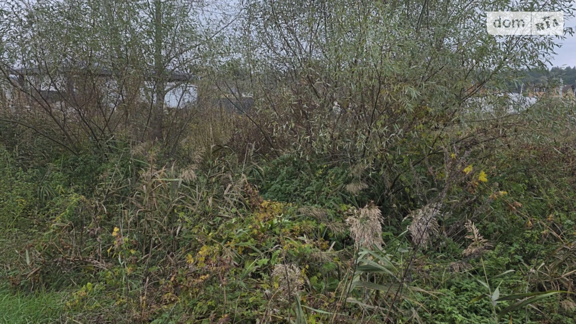 ул. Сиверская Кременище, цена: 42000 $ - фото 2