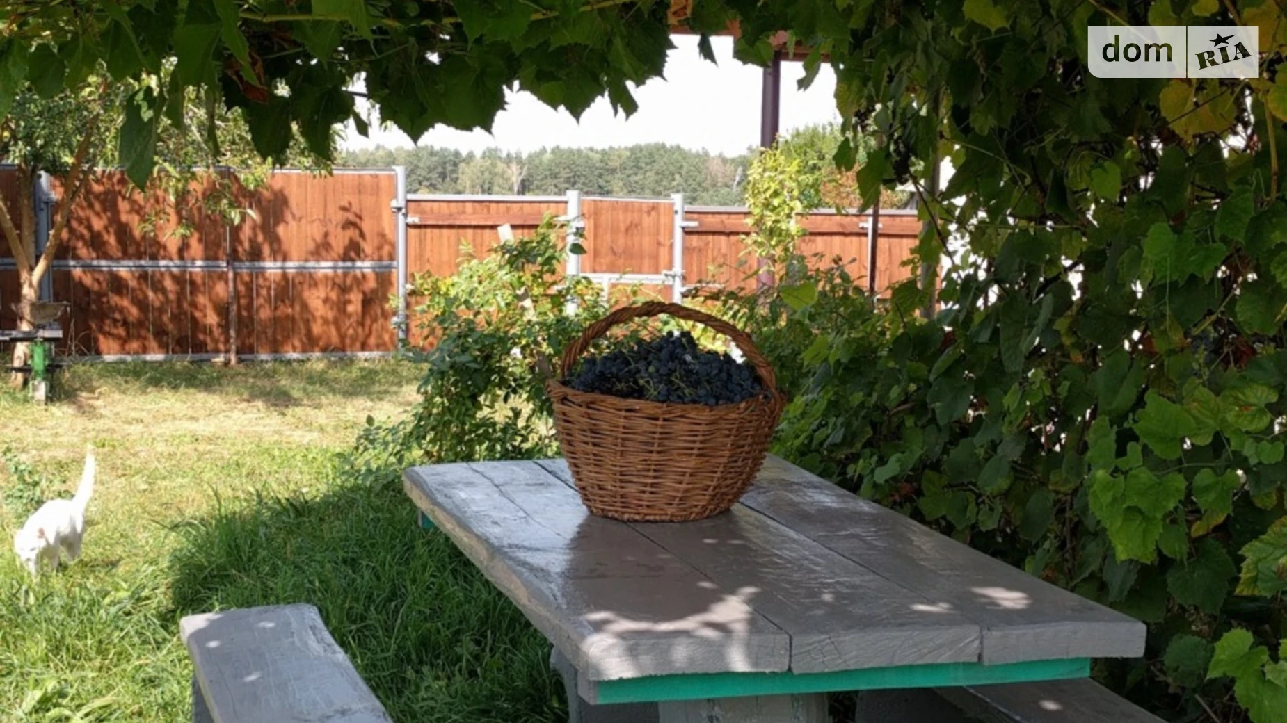 Продается одноэтажный дом 101.2 кв. м с балконом, цена: 12500 $ - фото 5