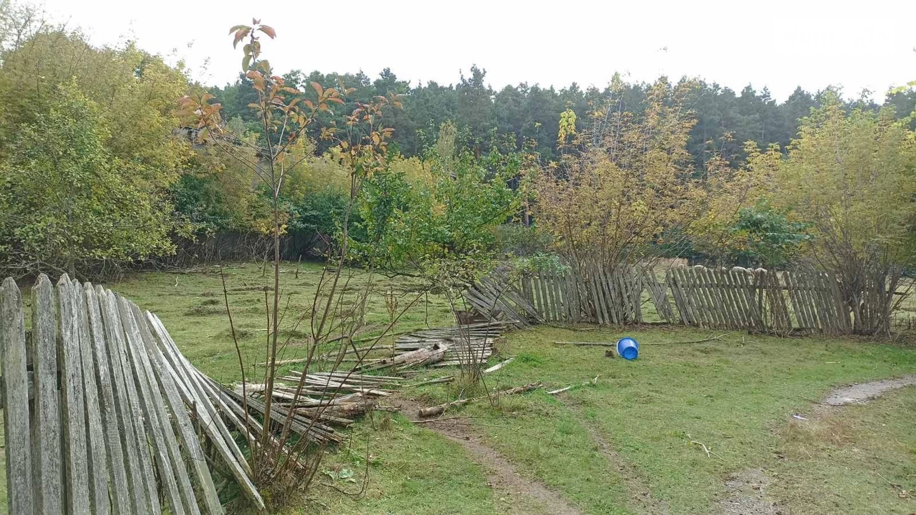 Продается земельный участок 78.59 соток в Хмельницкой области, цена: 100000 $ - фото 3