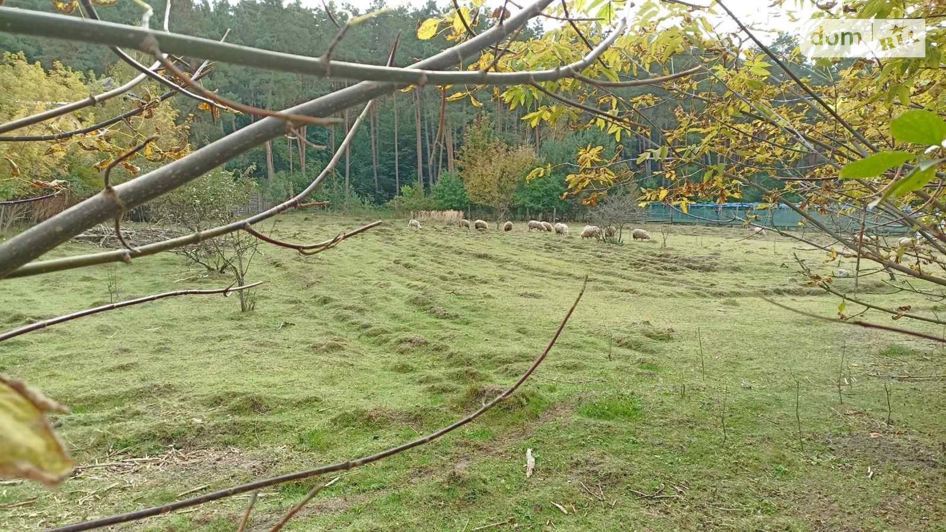 Продается земельный участок 78.59 соток в Хмельницкой области, цена: 100000 $ - фото 2