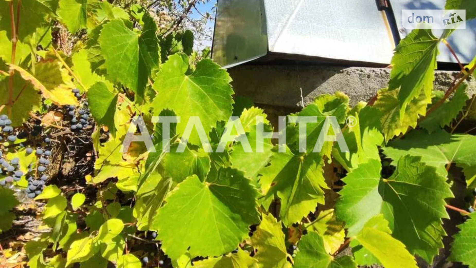 Продается земельный участок 6.03 соток в Винницкой области, цена: 11000 $ - фото 5