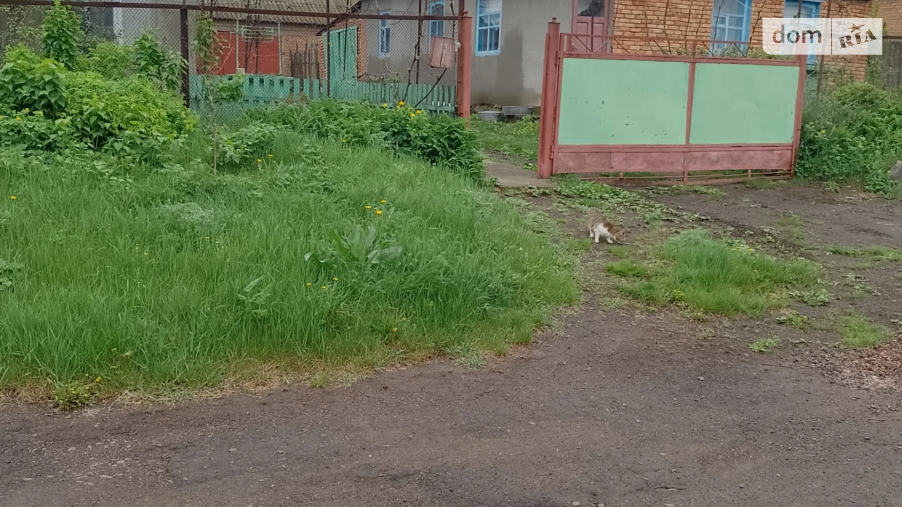 Продается одноэтажный дом 83 кв. м с участком, цена: 16000 $ - фото 2