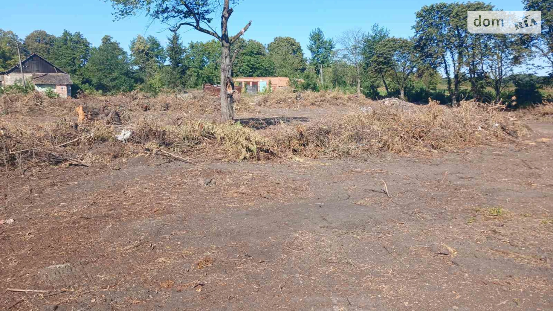 Продается земельный участок 100 соток в Винницкой области, цена: 80000 $ - фото 3