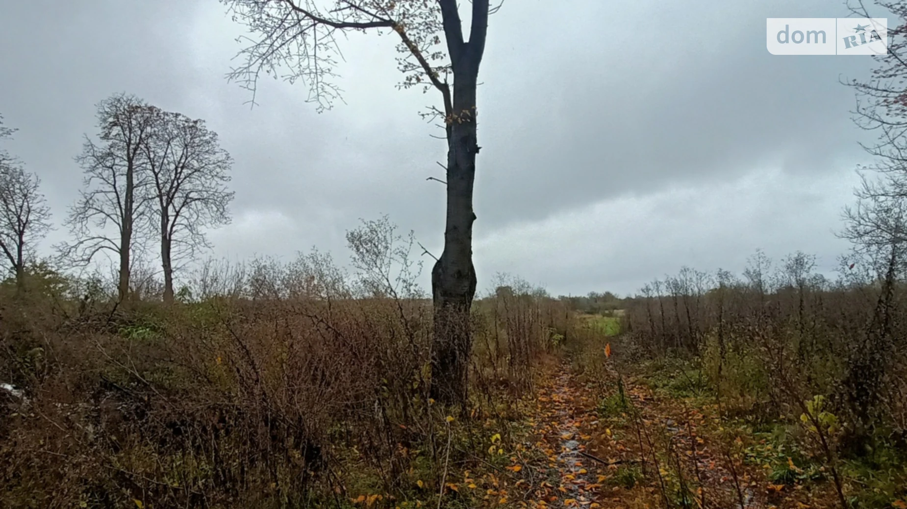 Продается земельный участок 1 соток в Винницкой области, цена: 80000 $ - фото 2