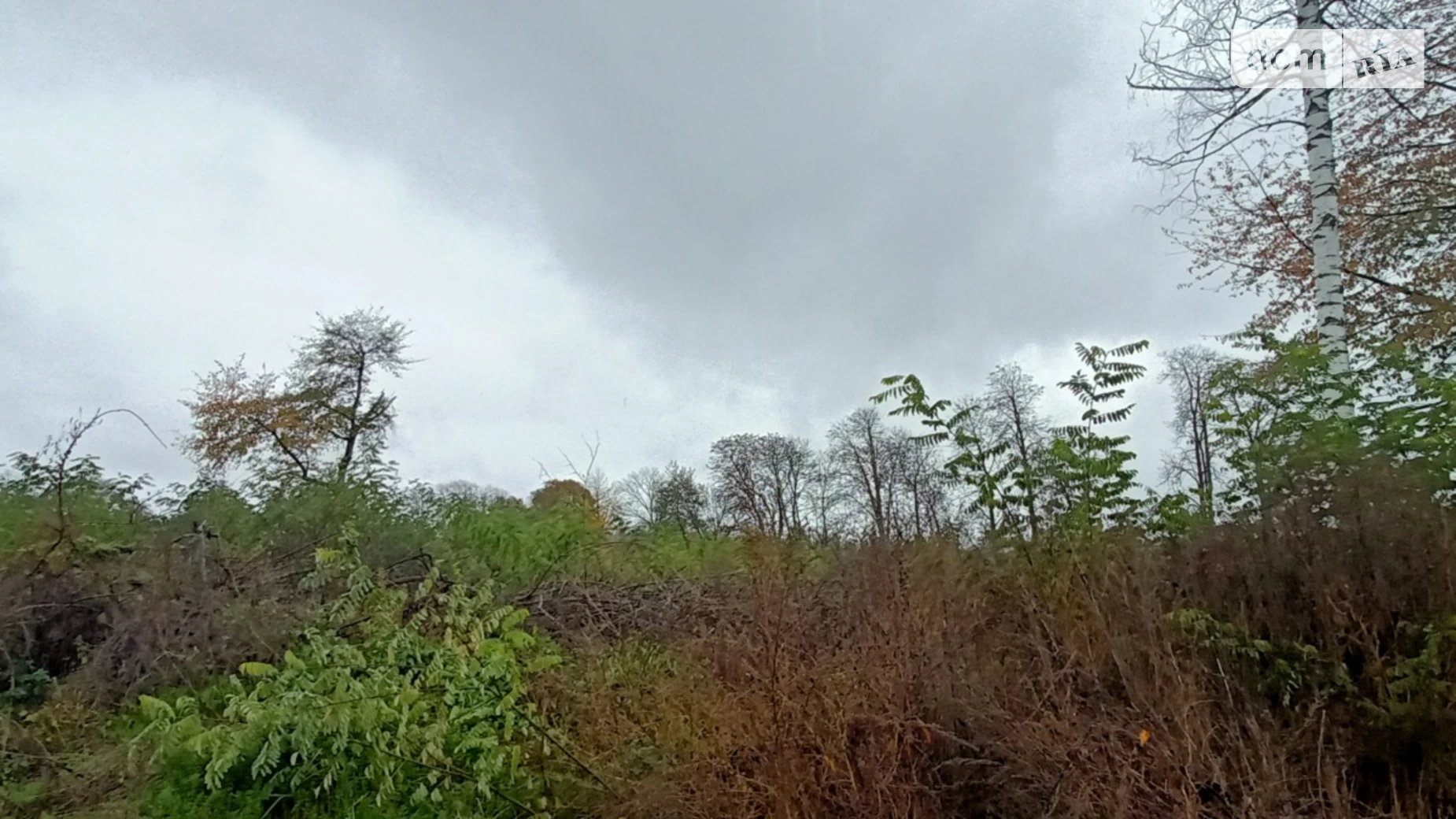 Продается земельный участок 1 соток в Винницкой области, цена: 80000 $ - фото 4