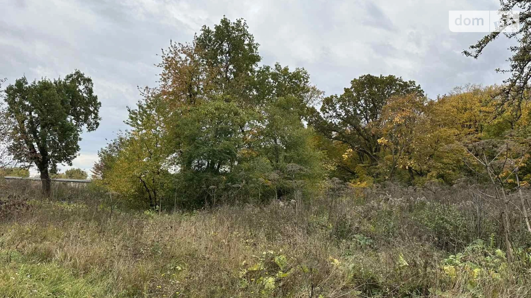 Продается земельный участок 50 соток в Винницкой области, цена: 30000 $ - фото 2