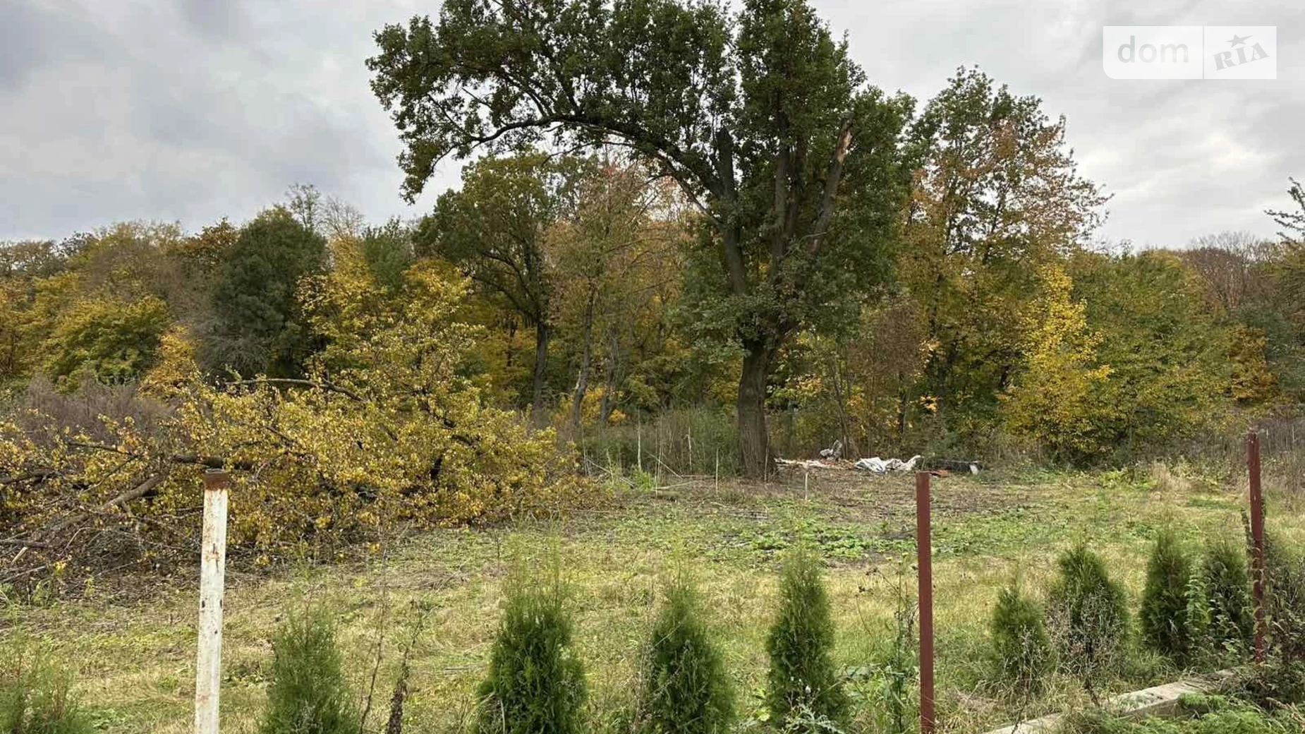 Продается земельный участок 50 соток в Винницкой области, цена: 30500 $ - фото 4