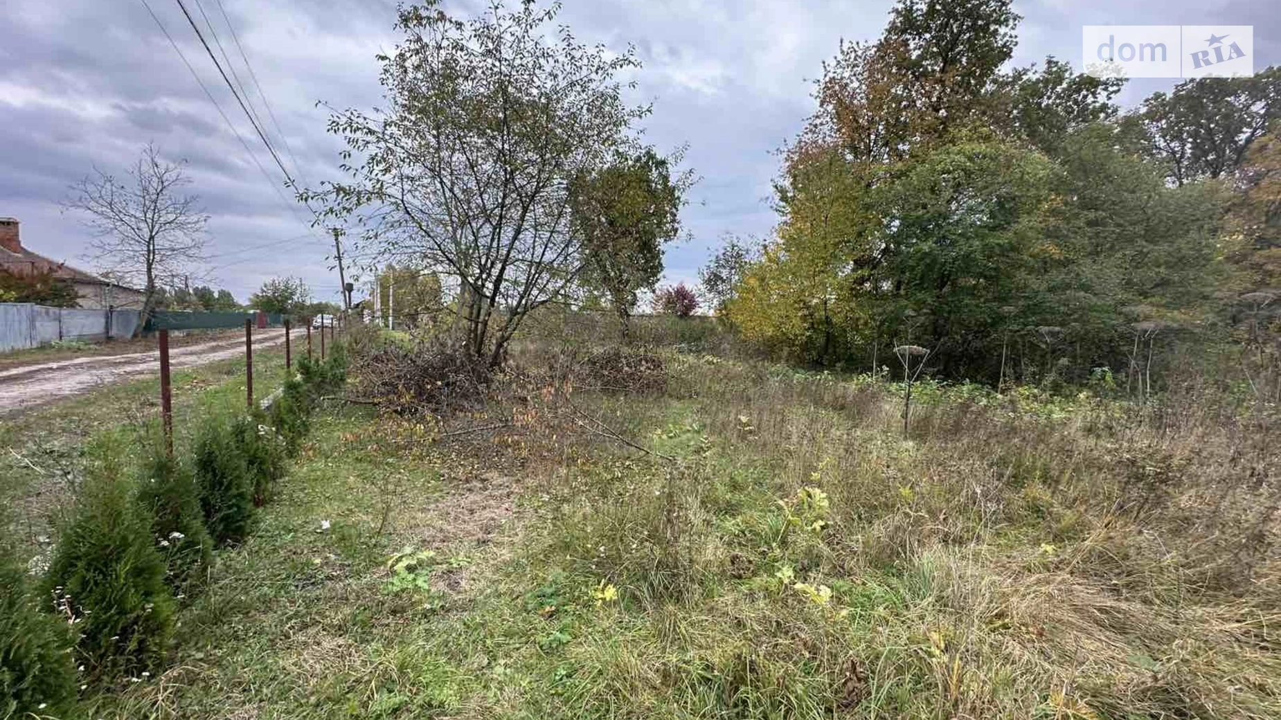 Продается земельный участок 25 соток в Винницкой области, цена: 16000 $ - фото 2