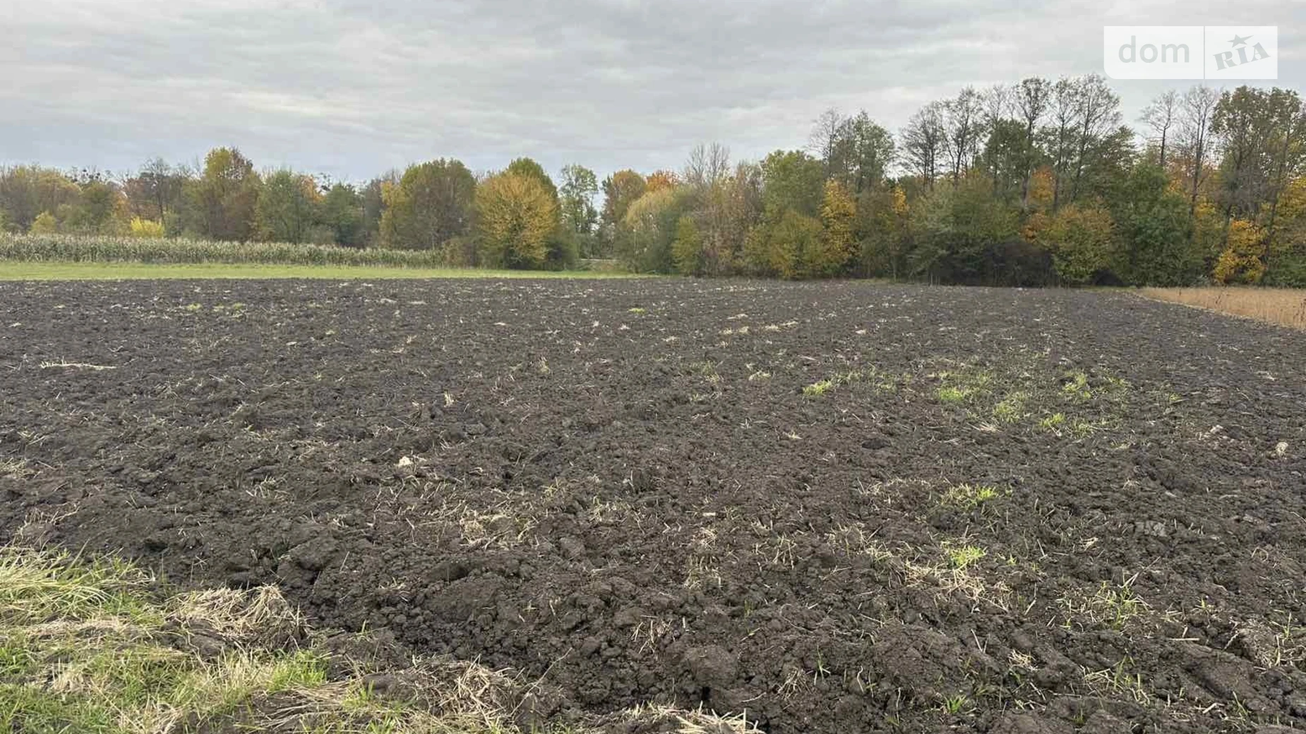 Продается земельный участок 25 соток в Винницкой области, цена: 8500 $ - фото 2