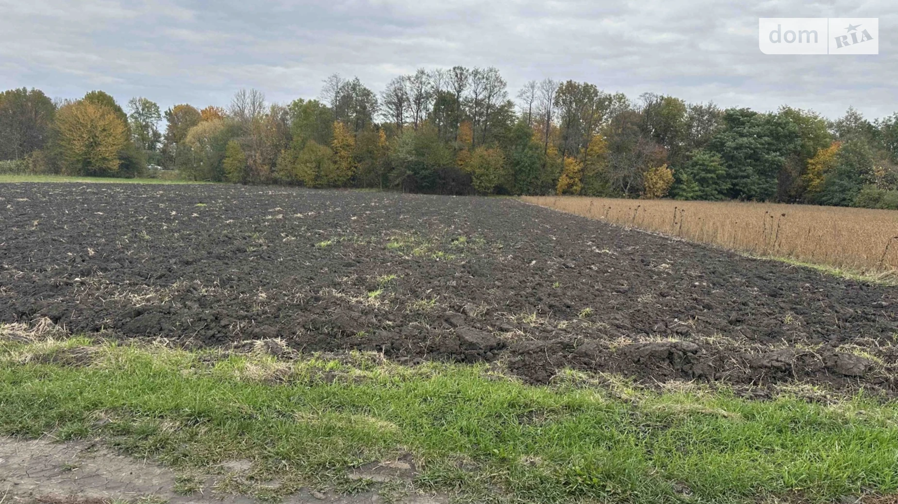 Продается земельный участок 25 соток в Винницкой области, цена: 8500 $ - фото 3