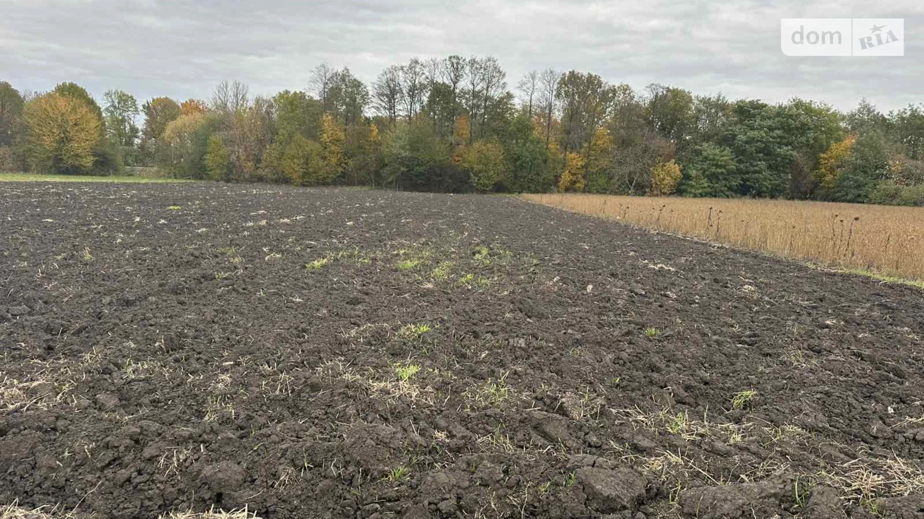 Продается земельный участок 25 соток в Винницкой области, цена: 8500 $ - фото 5