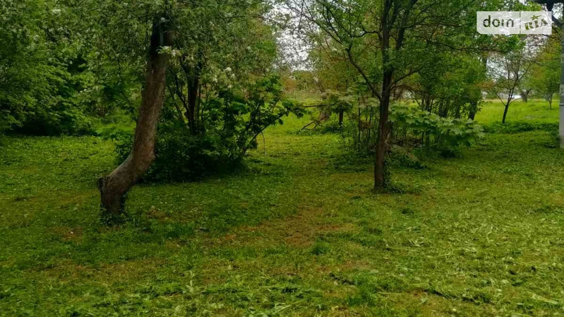 Продается одноэтажный дом 78 кв. м с подвалом, цена: 13000 $ - фото 5