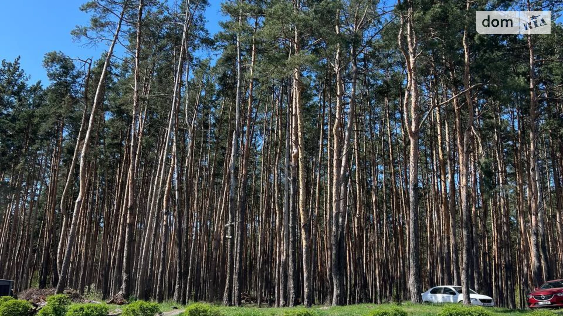 Продается 1-комнатная квартира 44.8 кв. м в Ирпене, ул. Дмитрия Павлычко(Есенина), 33 - фото 4