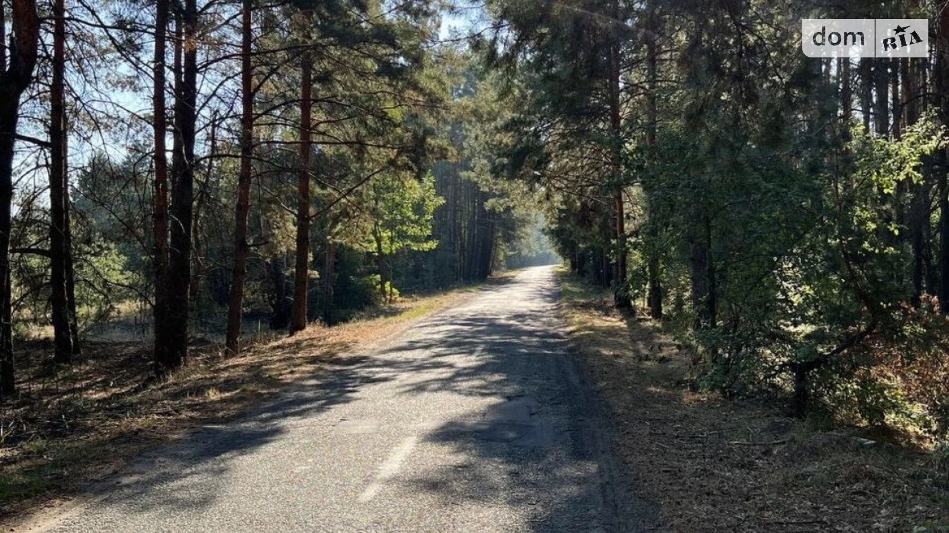 Толокунь, цена: 5500 $ - фото 2